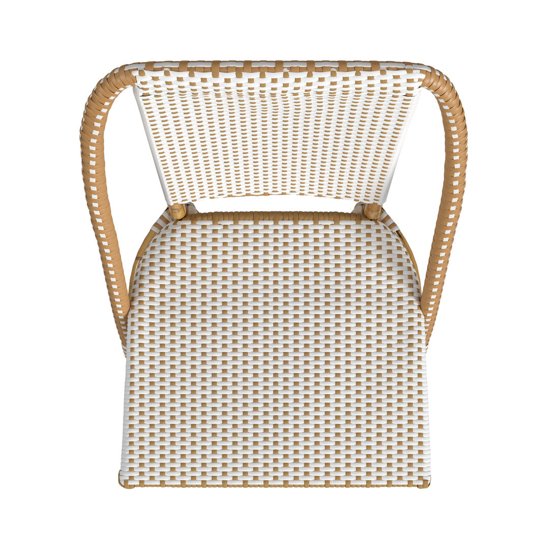 Tobias Indoor/Outdoor Dining Chair
