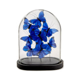Blue Butterflies in Dome