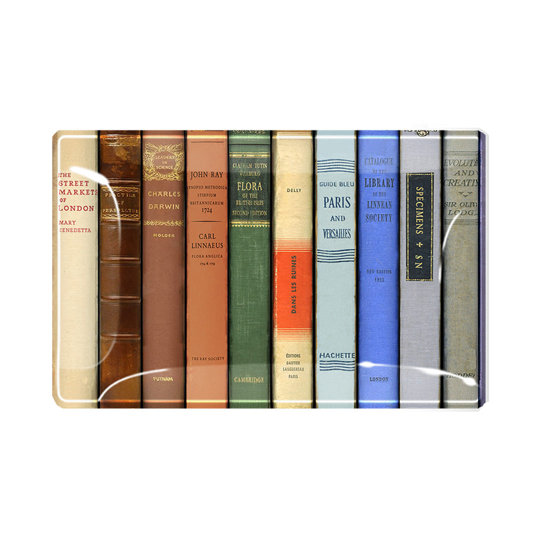 Library Reserve Decoupage Tray