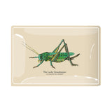 Lucky Grasshopper Decoupage Tray