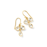 Crystal Drop Earrings
