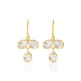 Crystal Drop Earrings