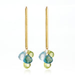 Barbara Heinrich Spring Briolette Drop Earrings