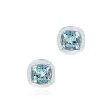 Melrose Earrings in Aquamarines