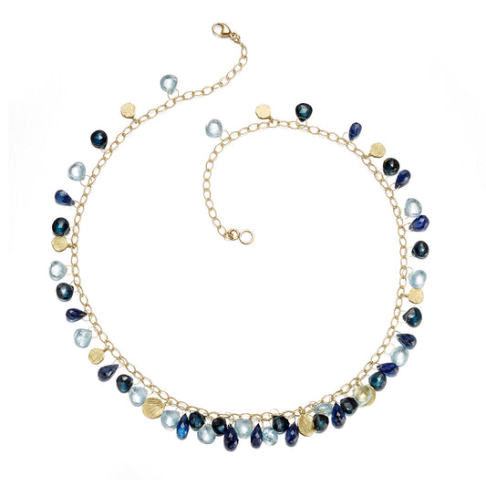 Barbara Heinrich Blue Multi-Gemstone Briolette & Petal Necklace