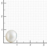 13mm White South Sea Pearl Earrings