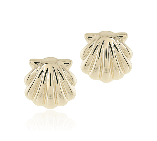 Scallop Shell Earrings