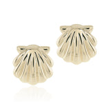 Scallop Shell Earrings