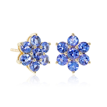 Gump's Signature Aurora Earrings in Tanzanite