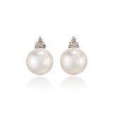 White Gold Madison Earrings in South Sea Pearls & Diamonds