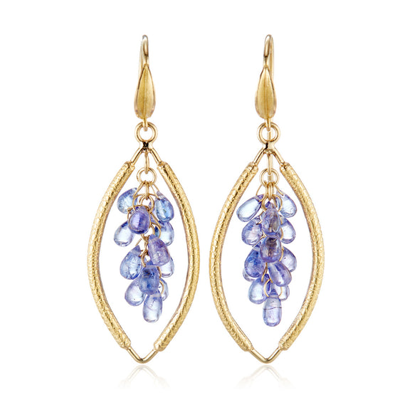 Barbara Heinrich Tanzanite Open-Shape Cluster Earrings