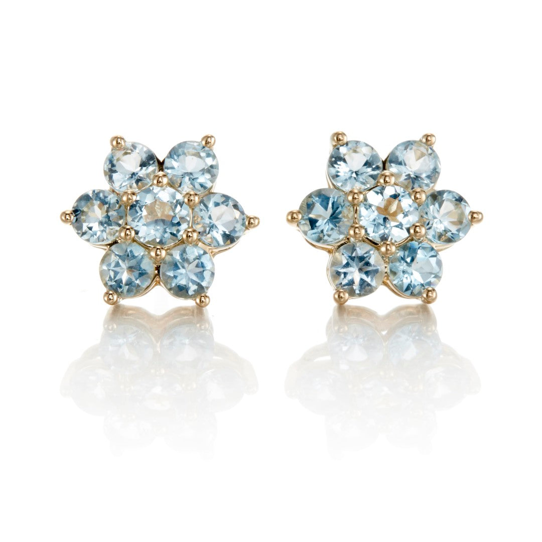 Gump's Signature Aurora Earrings in Aquamarines