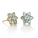 Aurora Earrings in Aquamarines