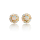 Floret Earrings in White Opals