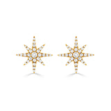 Doves Diamond Celestial Earrings