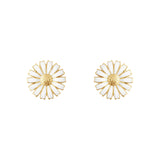 White Daisy Stud Earrings in Gold Vermeil