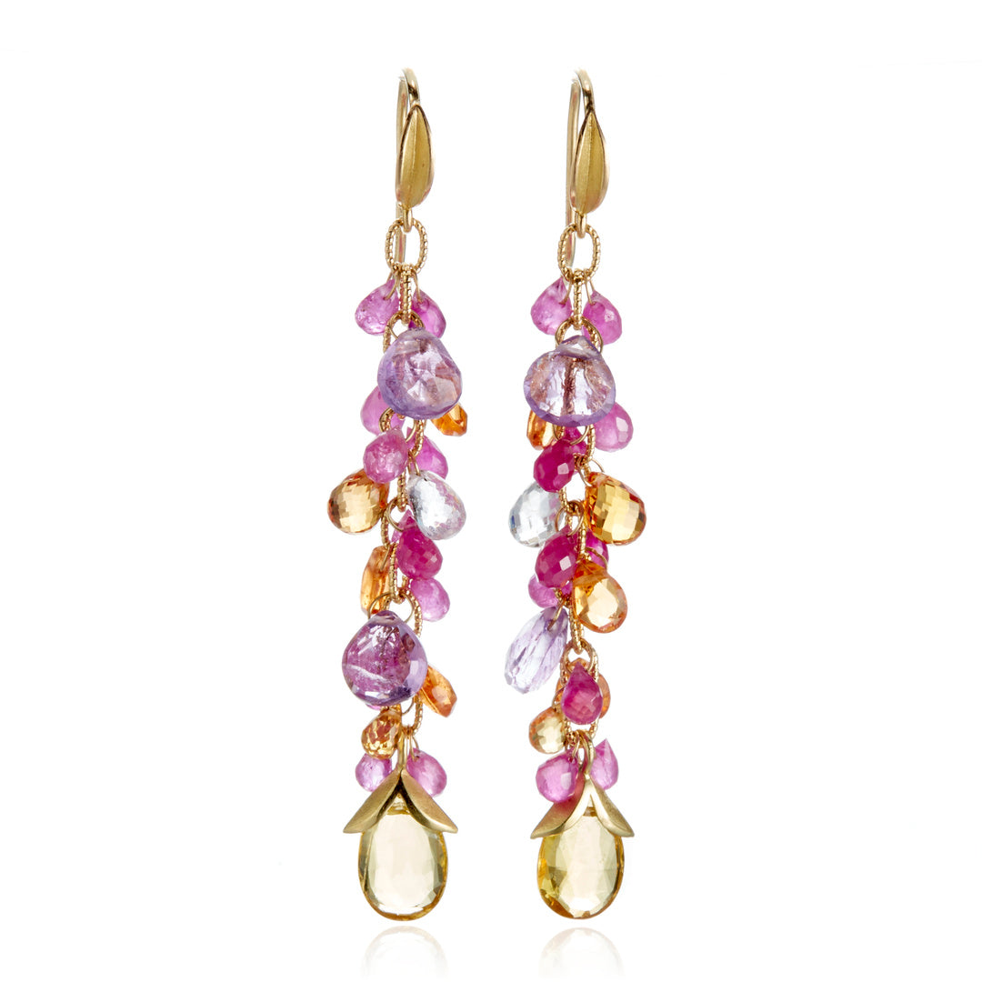 Barbara Heinrich Multi-Colored Gemstone Briolette Cluster Earrings