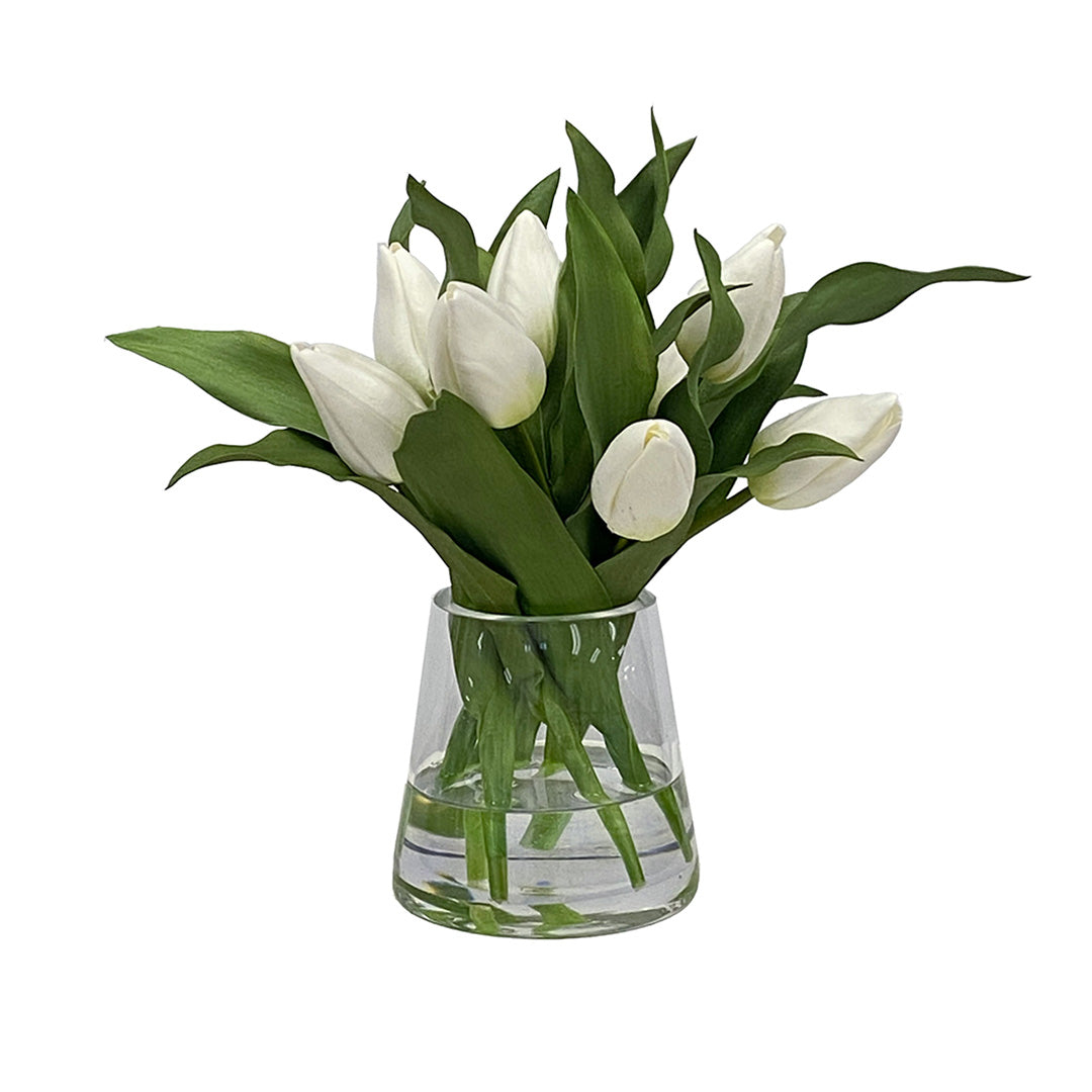 Montecito Tulips