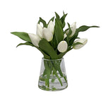 Montecito Tulips