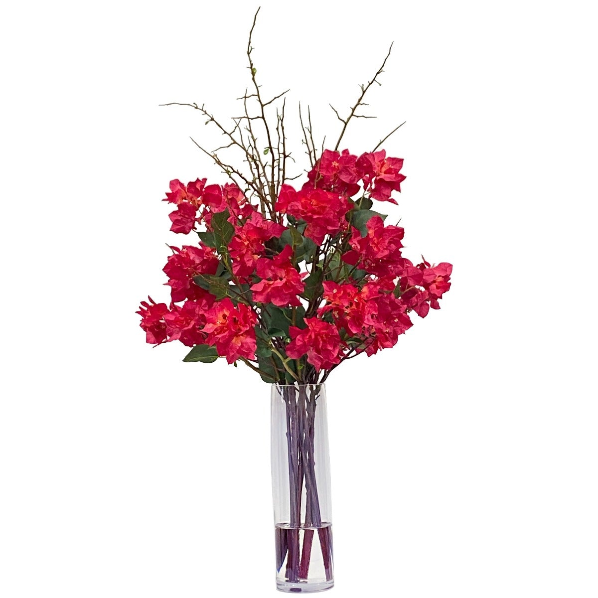 Bougainvillea in Tall Vase