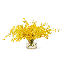 Yellow Oncidium Orchids