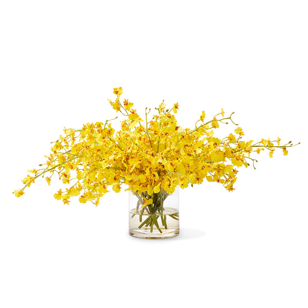 オーキッドキュー Yellow Oncidium Orchids – Gump's