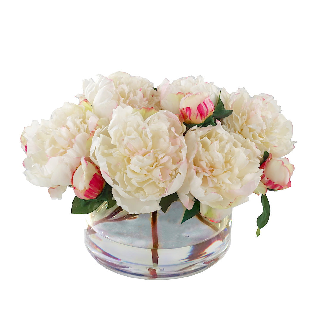 White Peonies in Low Vase