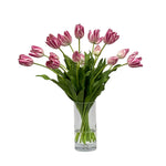 Paris Tulips