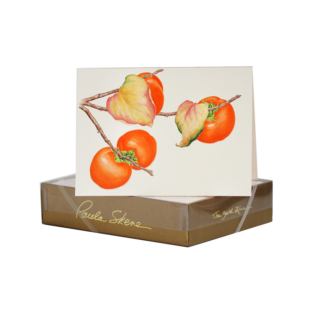 Paula Skene Persimmon Branch Note Cards, Set of 8