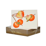 Paula Skene Persimmon Branch Note Cards, Set of 8