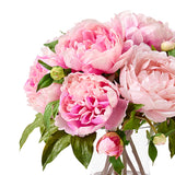 Cotton Candy Pink Peonies