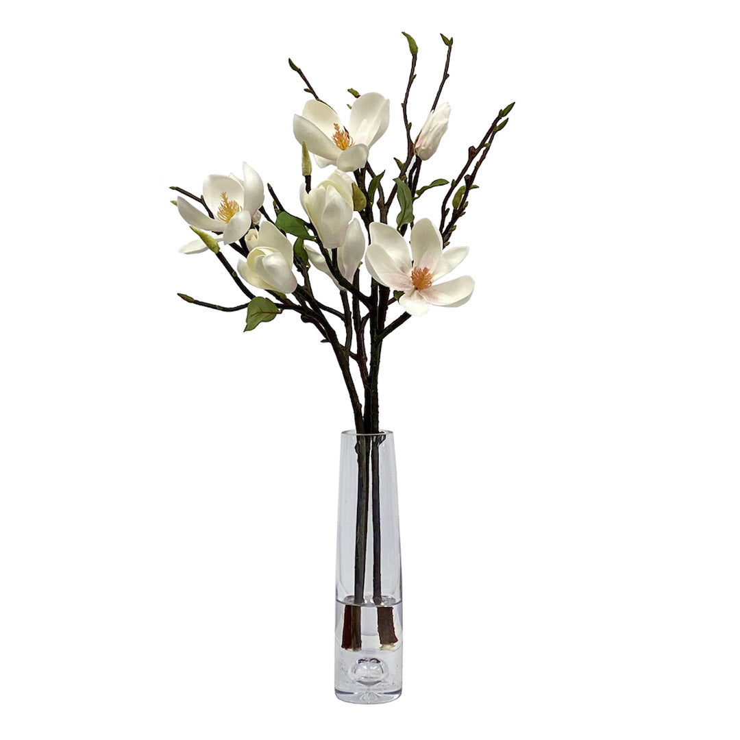 Magnolia Branches