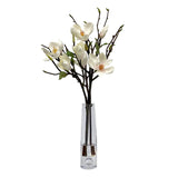 Magnolia Branches
