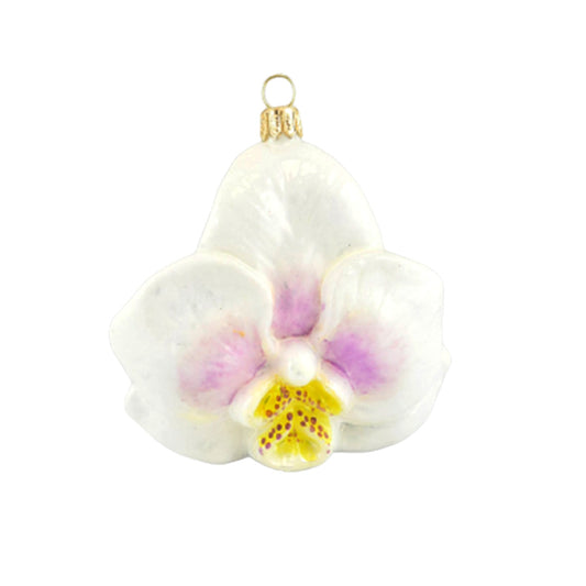 Phalaenopsis Orchid Ornament