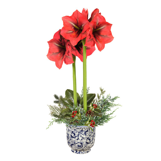 Holiday Amaryllis in Blue & White Pot