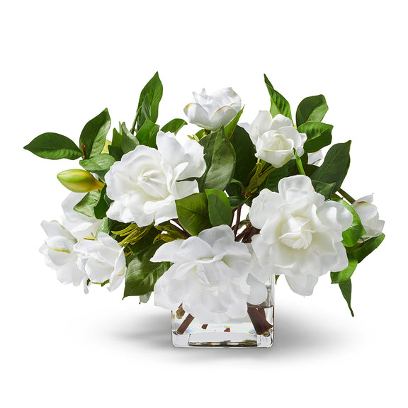 Winter White Gardenia Arrangement