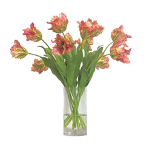 Mendocino Parrot Tulips