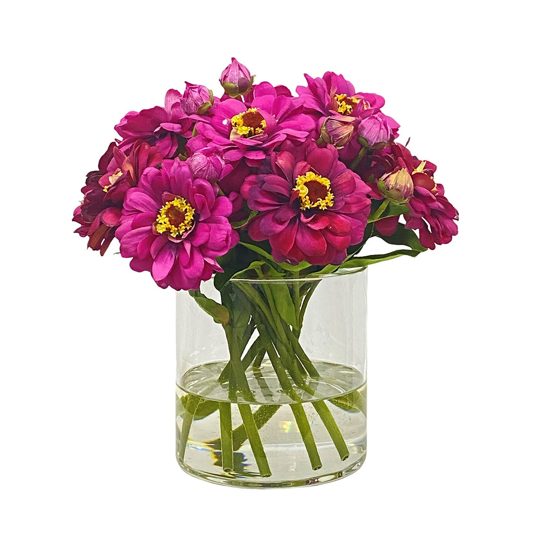 Lucia Fuchsia Zinnia Bouquet