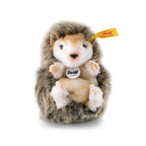 Baby Hedgehog