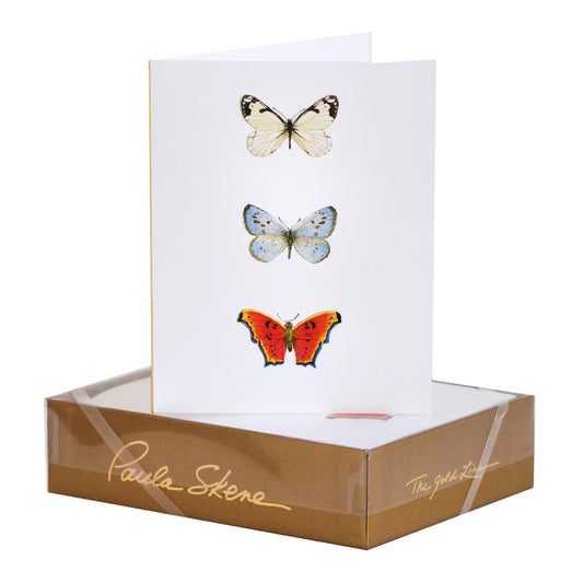 Paula Skene Butterfly Trio Note Cards, Set of 8