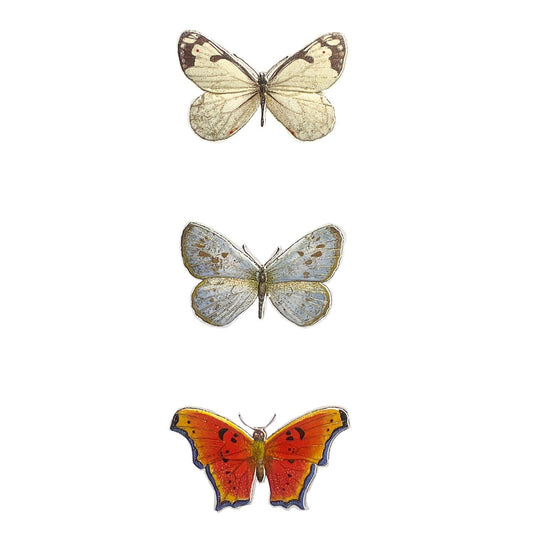 Butterfly Trio Note Cards, Set of 8