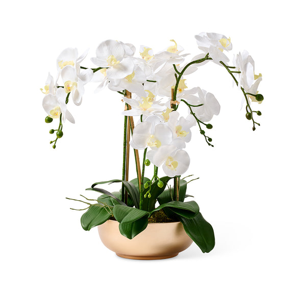 Gump's Genevieve White Orchids in Gold Bowl