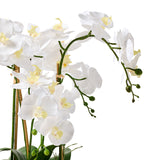 Genevieve White Orchids in Gold Bowl