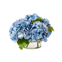 Delta Blue Hydrangeas