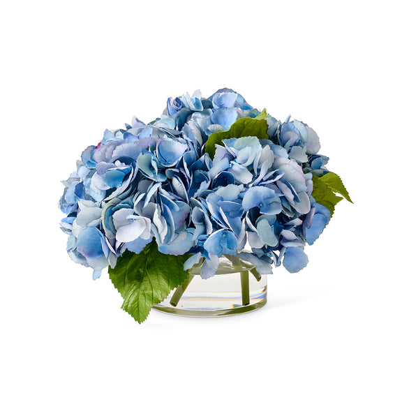 Delta Blue Hydrangeas