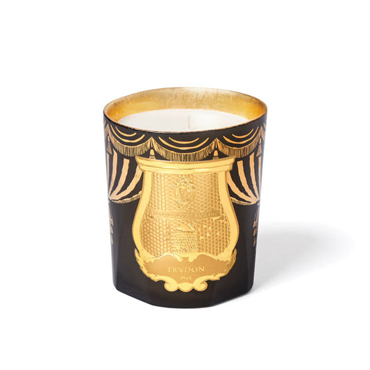 Trudon Fir Classic Candle