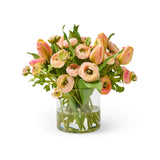 Provence Ranunculus & Tulips