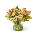 Provence Ranunculus & Tulips