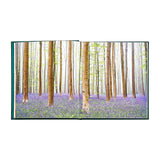 The Hidden Life of Trees