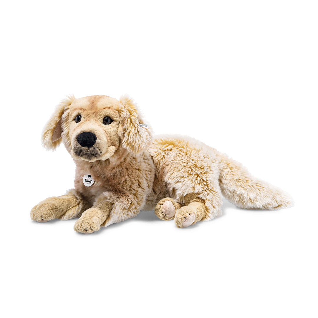 Andor Golden Retriever